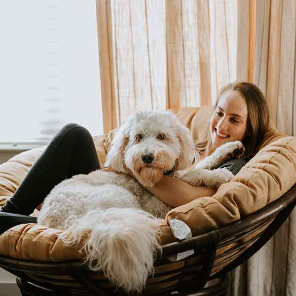 pet_sitting_northern_beaches
