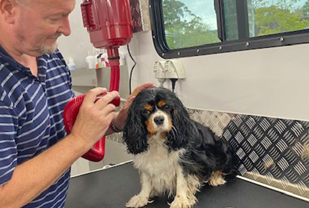 New Mobile Dog Grooming Service