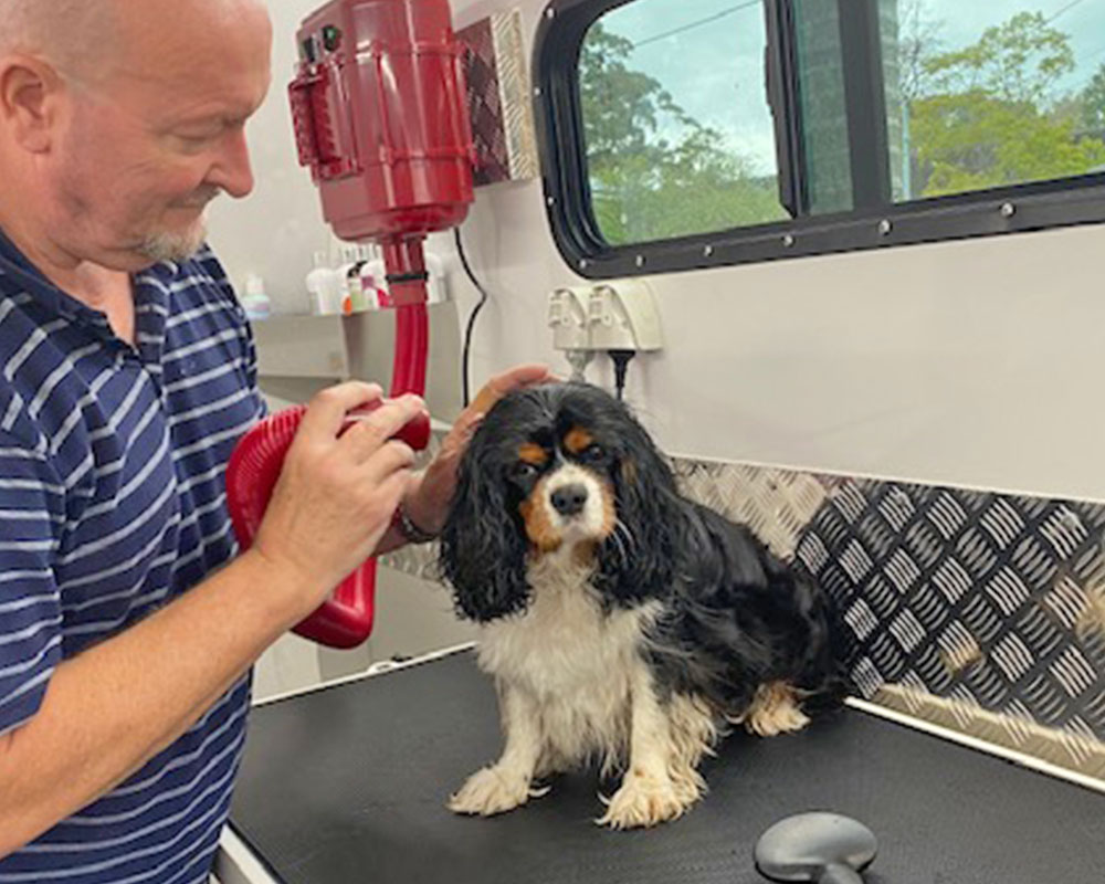 Mobile Grooming – Barks and Recreation